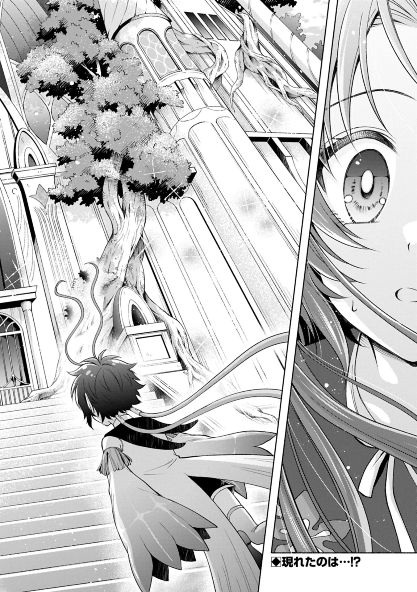 転生した大聖女は、聖女であることをひた隠す 第17.2話 - 22