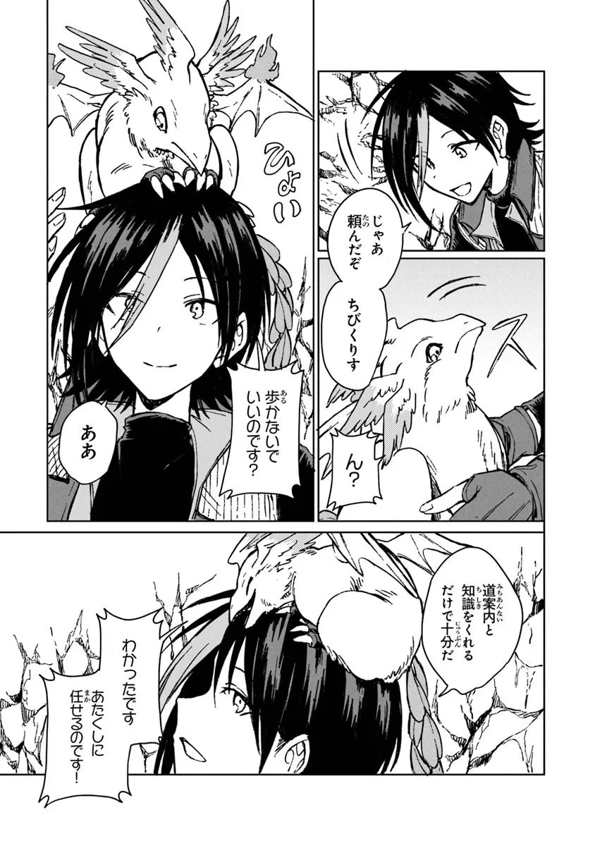 S級ギルドを追放されたけど、実は俺だけドラゴンの言葉がわかるので、気付いたときには竜騎士の頂点を極めてました。 第40.1話 - 11