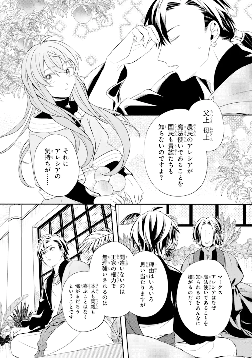 砂漠の国の雨降らし姫～前世で処刑された魔法使いは農家の娘になりました～ 第20.1話 - 5