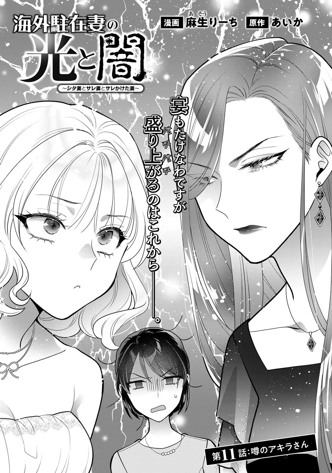 海外駐在妻の光と闇 ~シタ妻とサレ妻とサレかけた妻~ 第11話 - 3