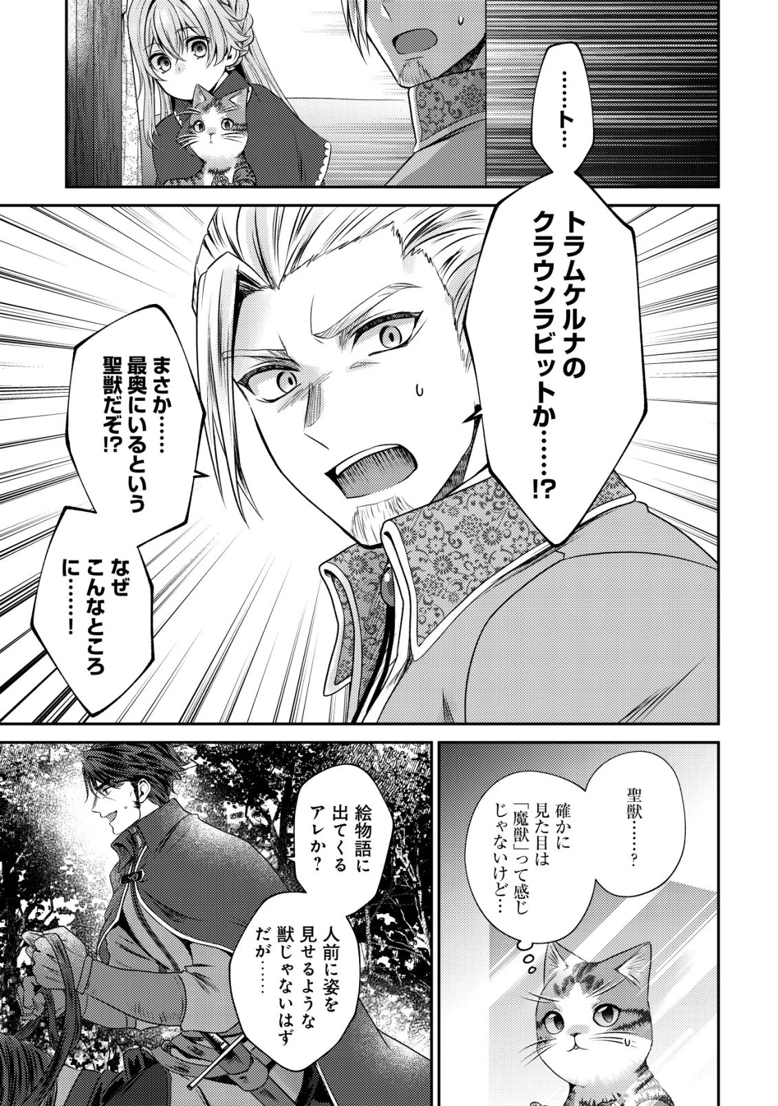 我輩は猫魔導師である～キジトラ・ルークの快適チート猫生活～ 第26話 - 3