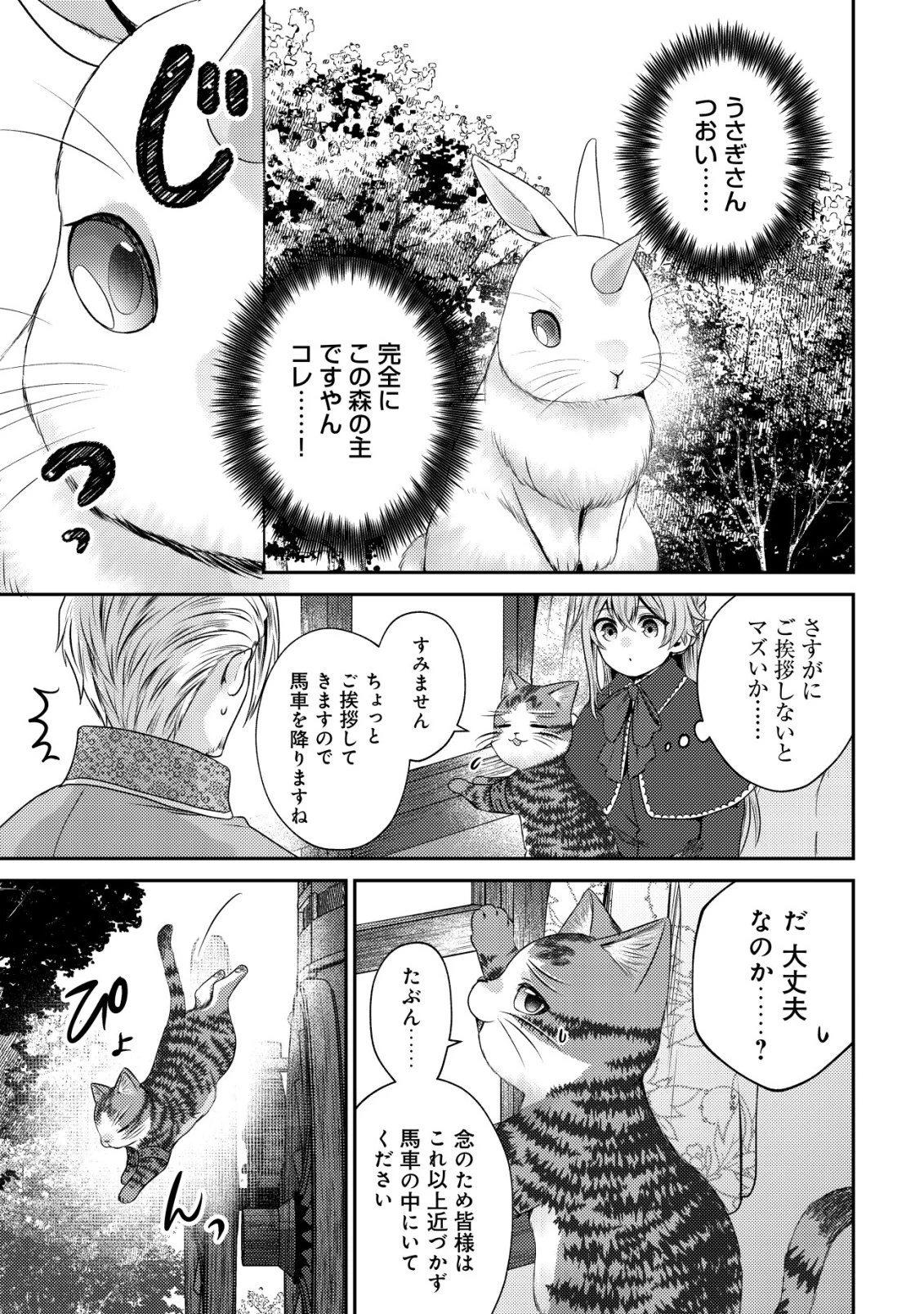 我輩は猫魔導師である～キジトラ・ルークの快適チート猫生活～ 第26話 - 5