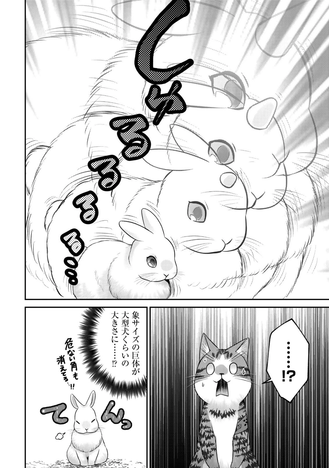 我輩は猫魔導師である～キジトラ・ルークの快適チート猫生活～ 第26話 - 12