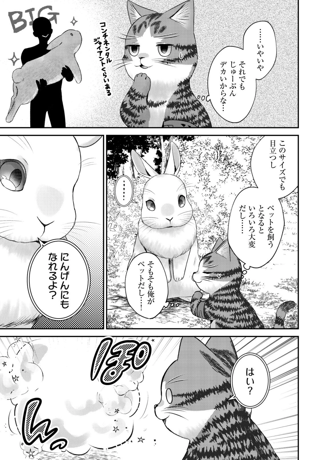 我輩は猫魔導師である～キジトラ・ルークの快適チート猫生活～ 第26話 - 13