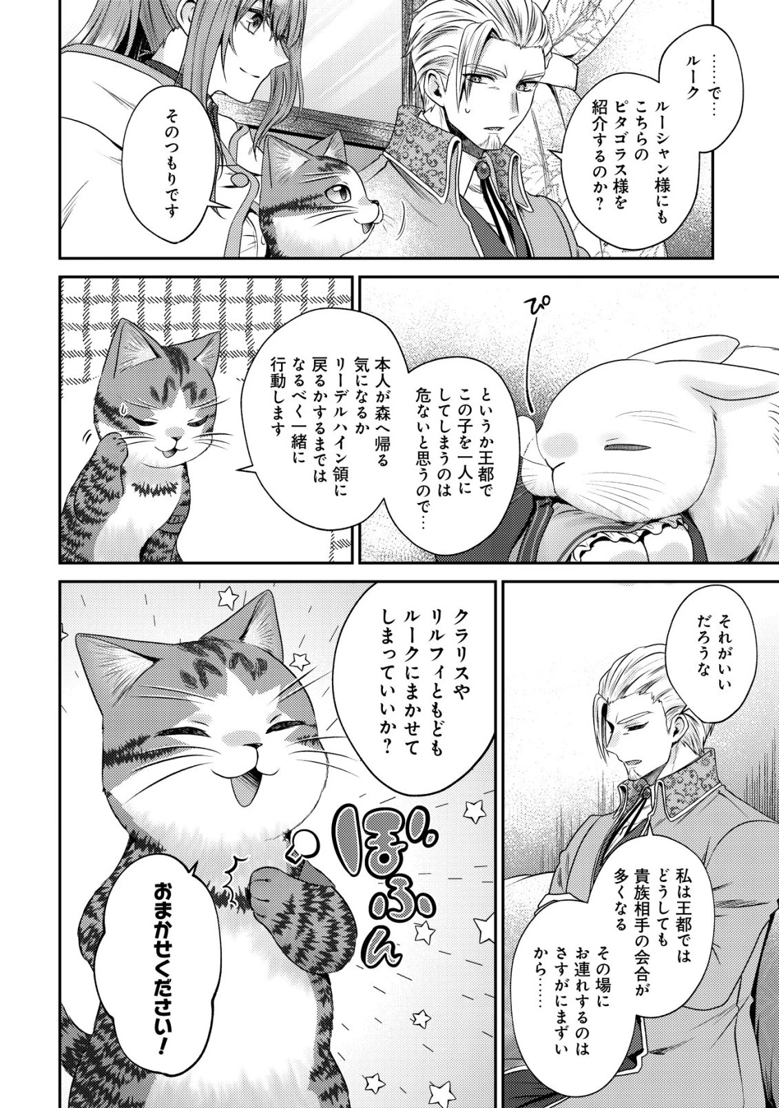 我輩は猫魔導師である～キジトラ・ルークの快適チート猫生活～ 第26話 - 24