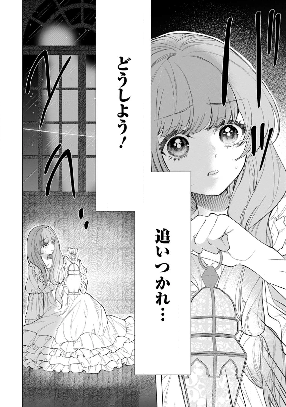 シンデレラの姉ですが、不本意ながら王子と結婚することになりました～身代わり王太子妃は離宮でスローライフを満喫する～ 第29.2話 - 5