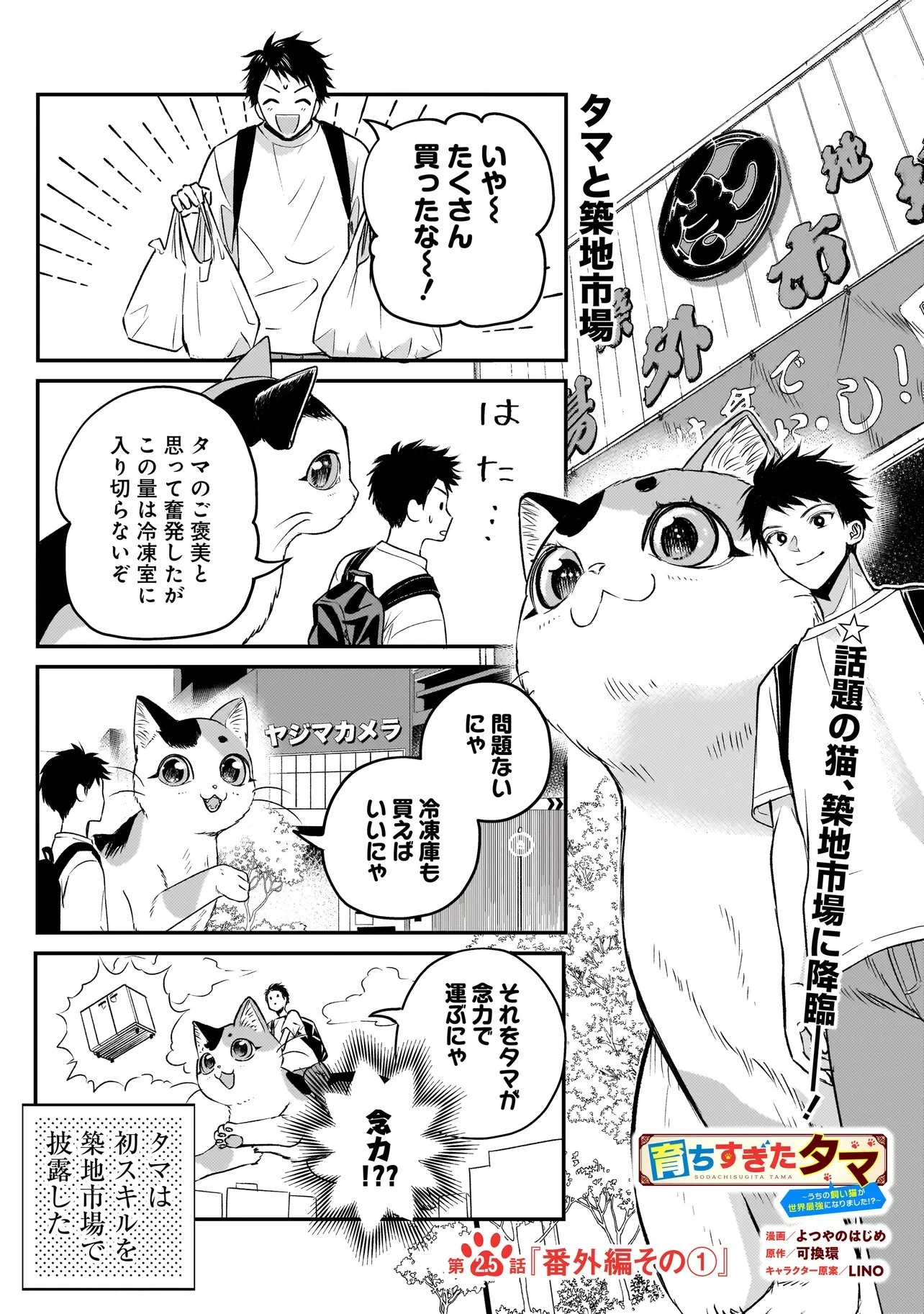 育ちすぎたタマ～うちの飼い猫が世界最強になりました!?～ 第2.5話 - 1