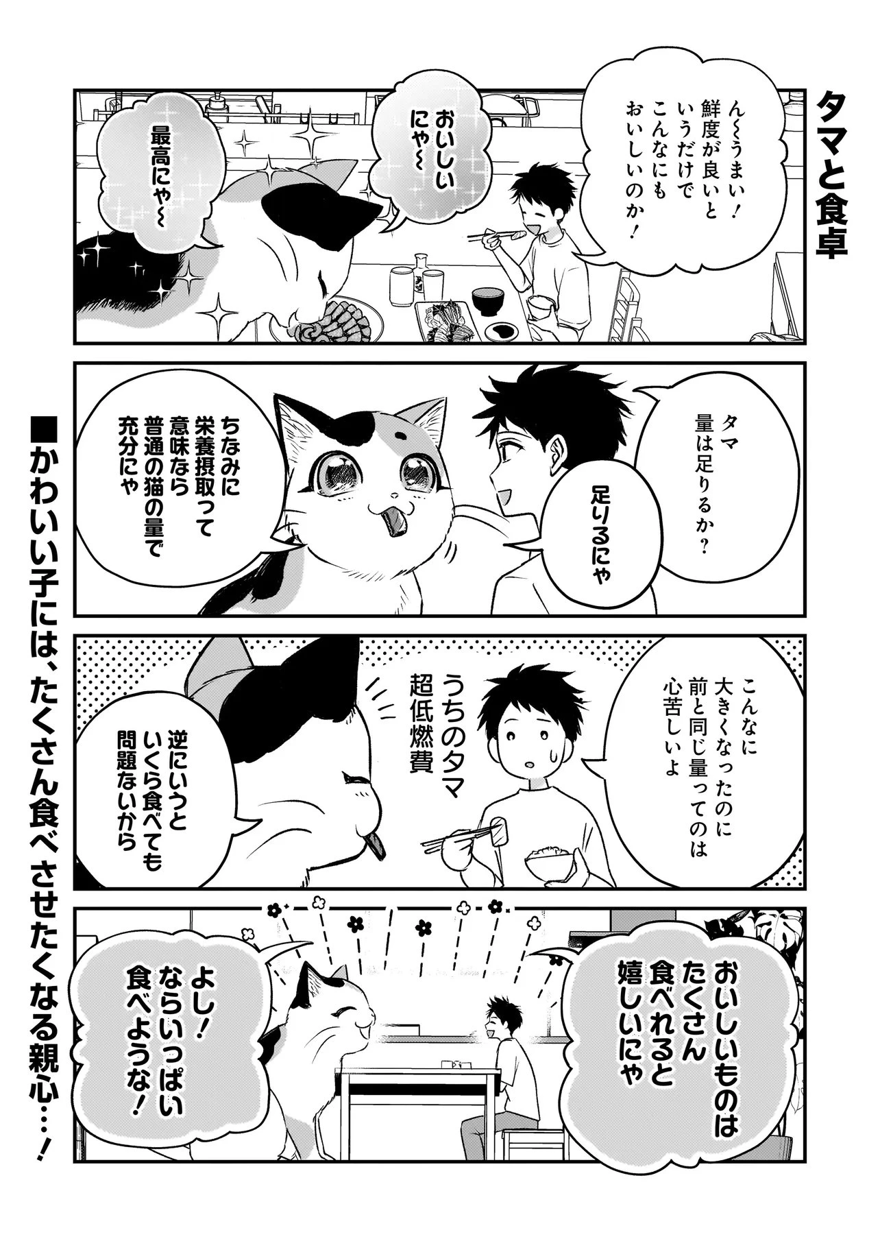 育ちすぎたタマ～うちの飼い猫が世界最強になりました!?～ 第2.5話 - 3