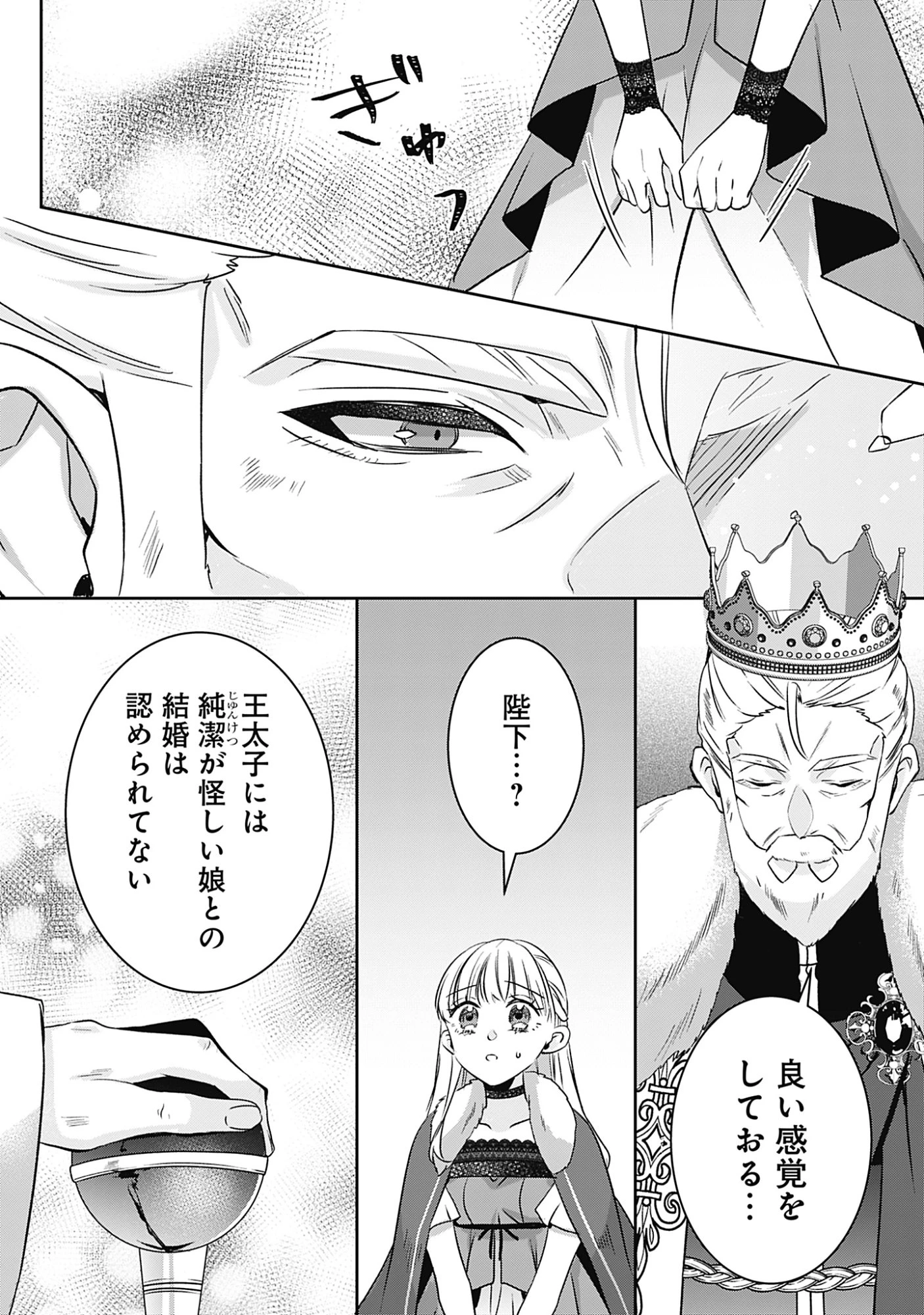 籠のなかの竜聖女 -虐げられた伯爵令嬢は、今日も溺愛されています- 第13話 - 28