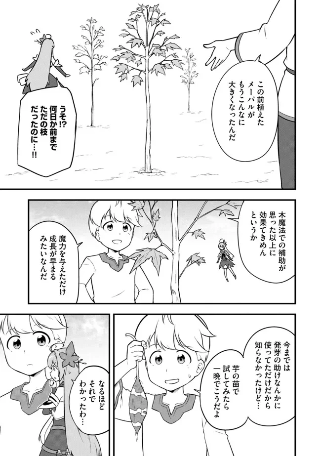 転生者は世間知らず～特典スキルでスローライフ!?～　コミック版 第11.2話 - 2