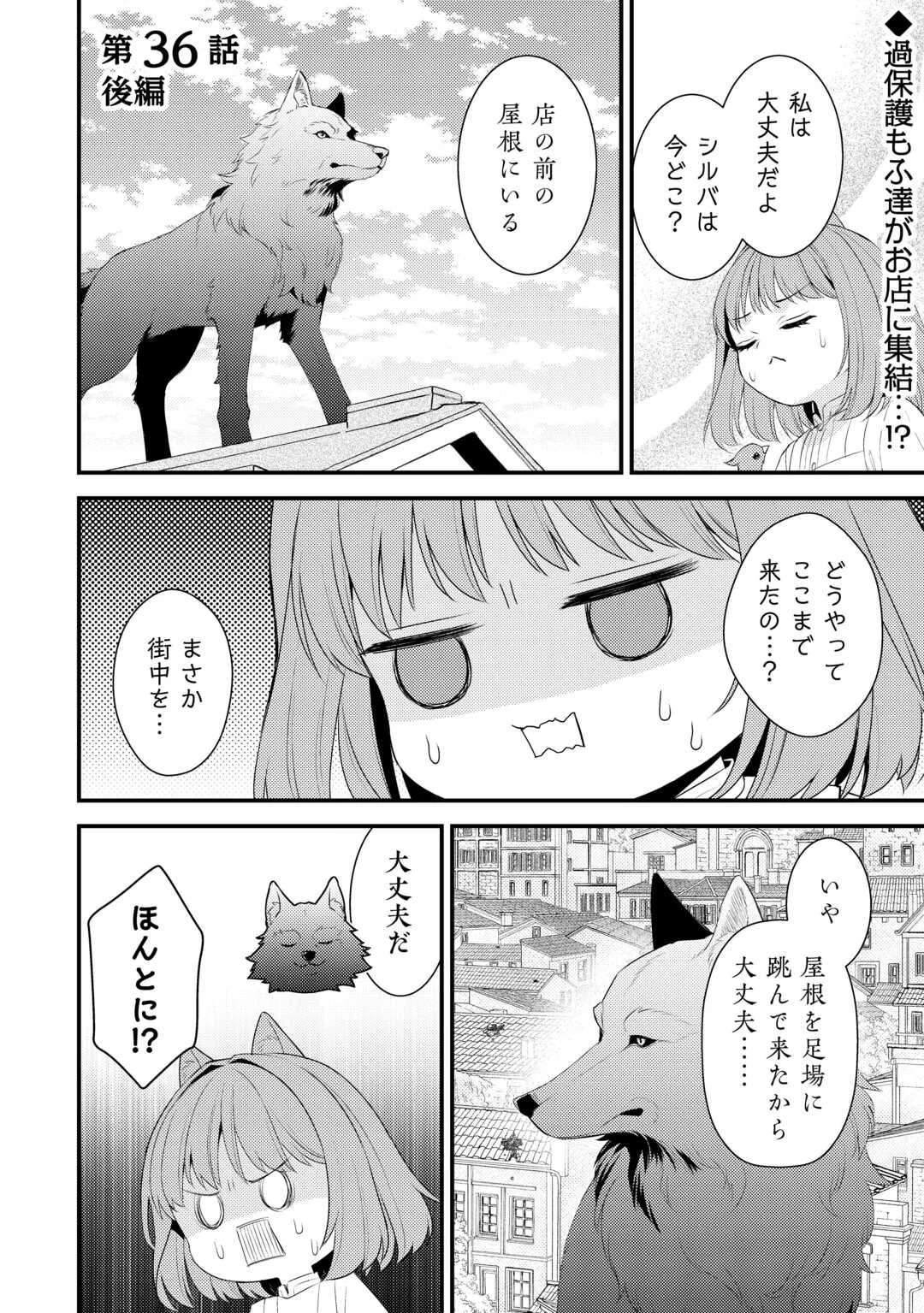 ほっといて下さい　―従魔とチートライフ楽しみたい！― 第36.5話 - 1