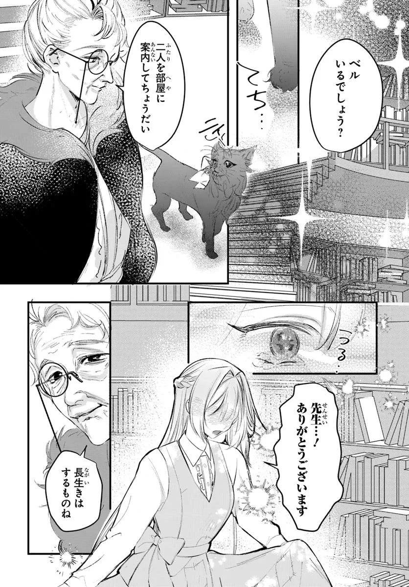 精霊に「お前は主人にふさわしくない、契約破棄してくれ!」と言われたので、欲しがっている妹に譲ります 第3.1話 - 8