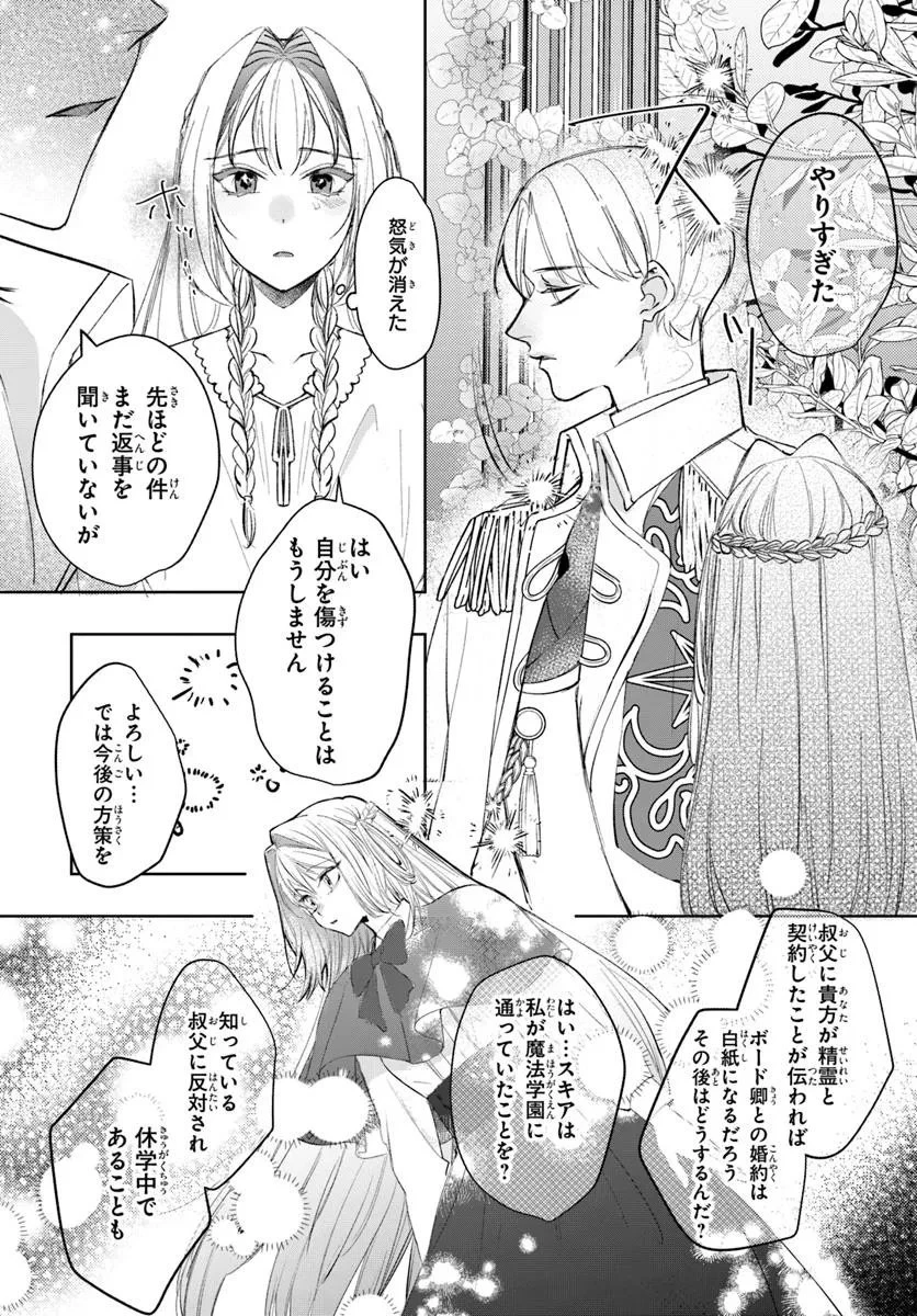 精霊に「お前は主人にふさわしくない、契約破棄してくれ!」と言われたので、欲しがっている妹に譲ります 第2.1話 - 9