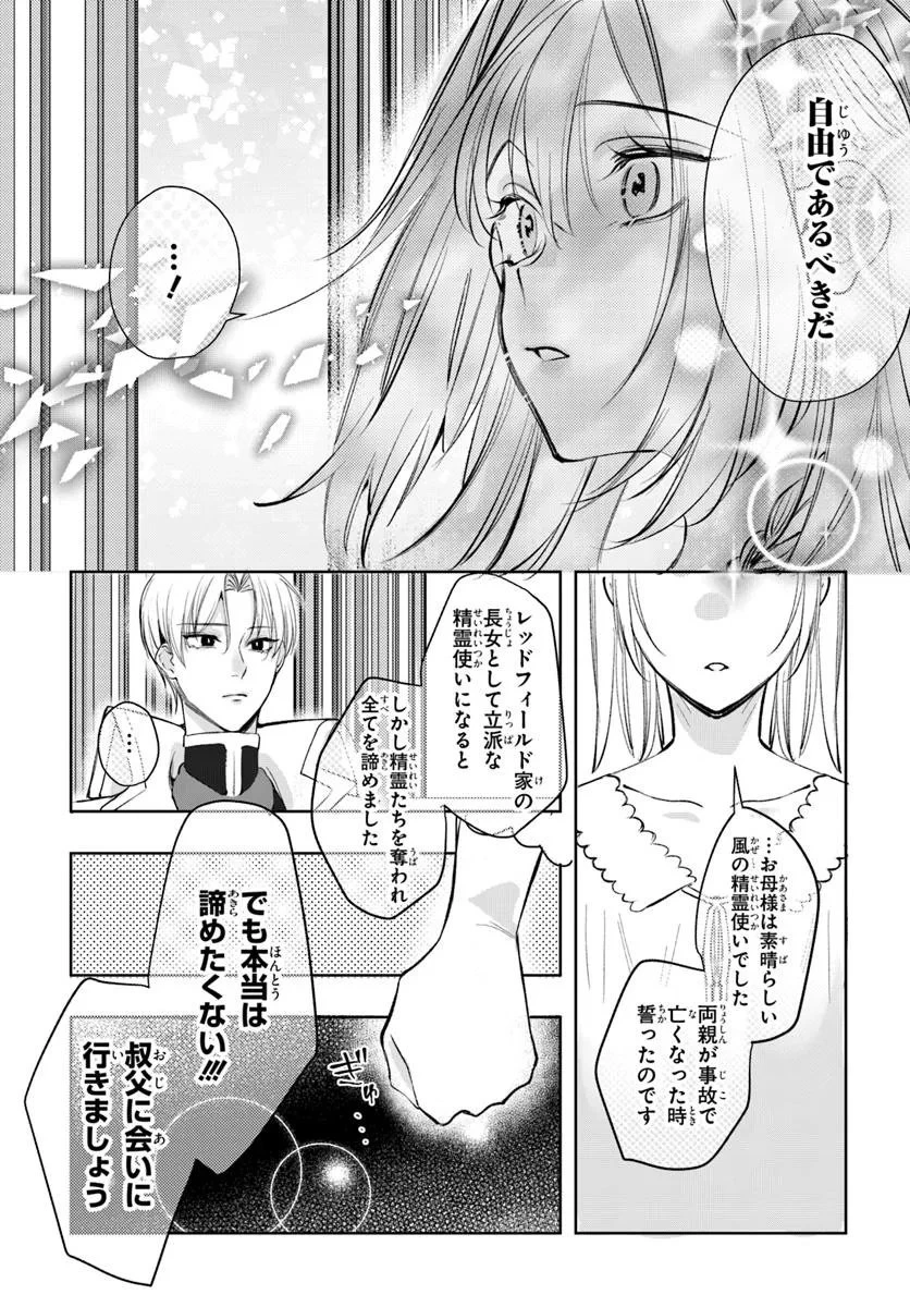 精霊に「お前は主人にふさわしくない、契約破棄してくれ!」と言われたので、欲しがっている妹に譲ります 第2.1話 - 11