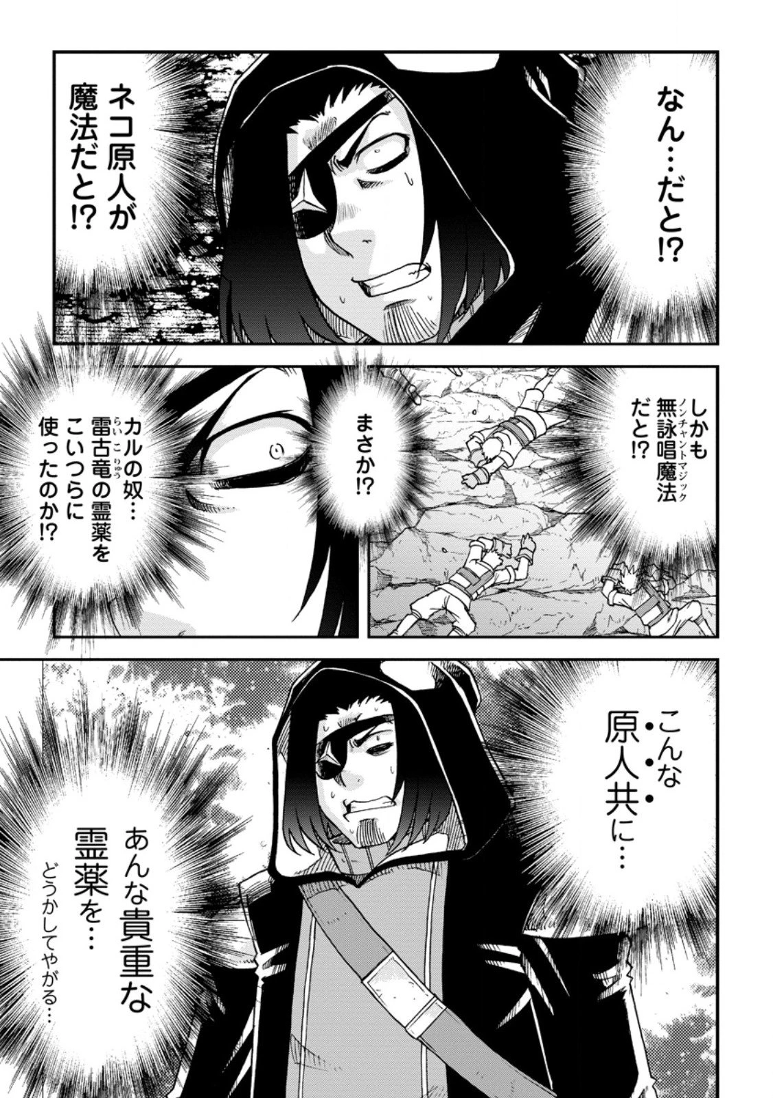 竜王に拾われて魔法を極めた少年、追放を言い渡した家族の前でうっかり無双してしまう～兄上たちが僕の仲間を攻撃するなら、徹底的にやり返します～ 第13.2話 - 6