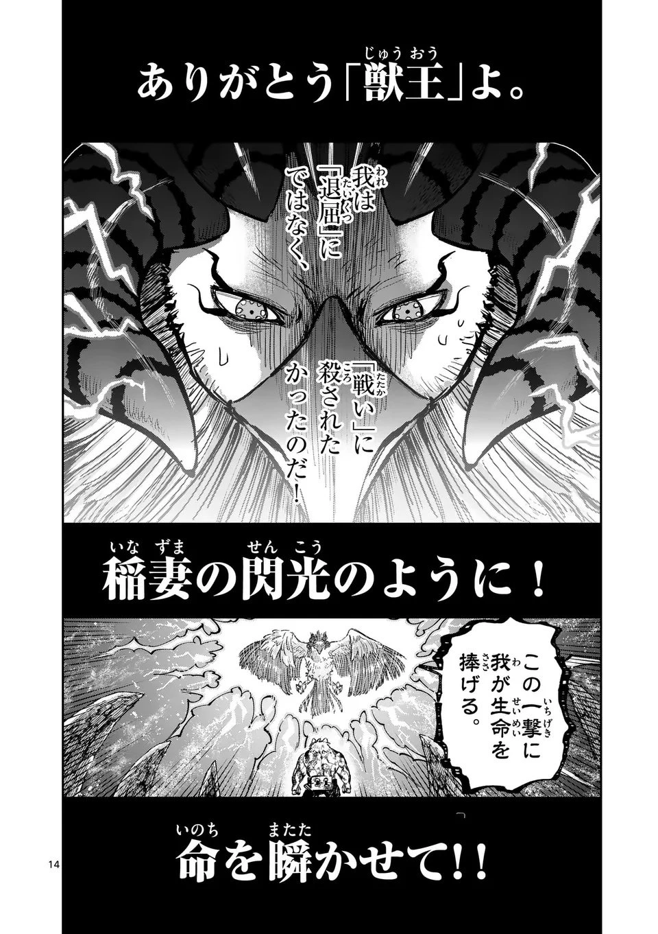獣王と薬草 第61話 - 14
