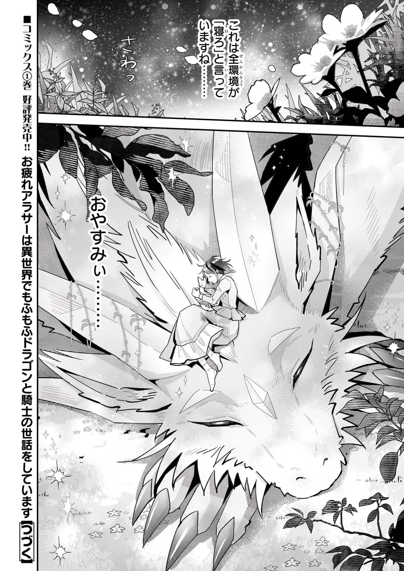 お疲れアラサーは異世界でもふもふドラゴンと騎士の世話をしています 第7.2話 - 13