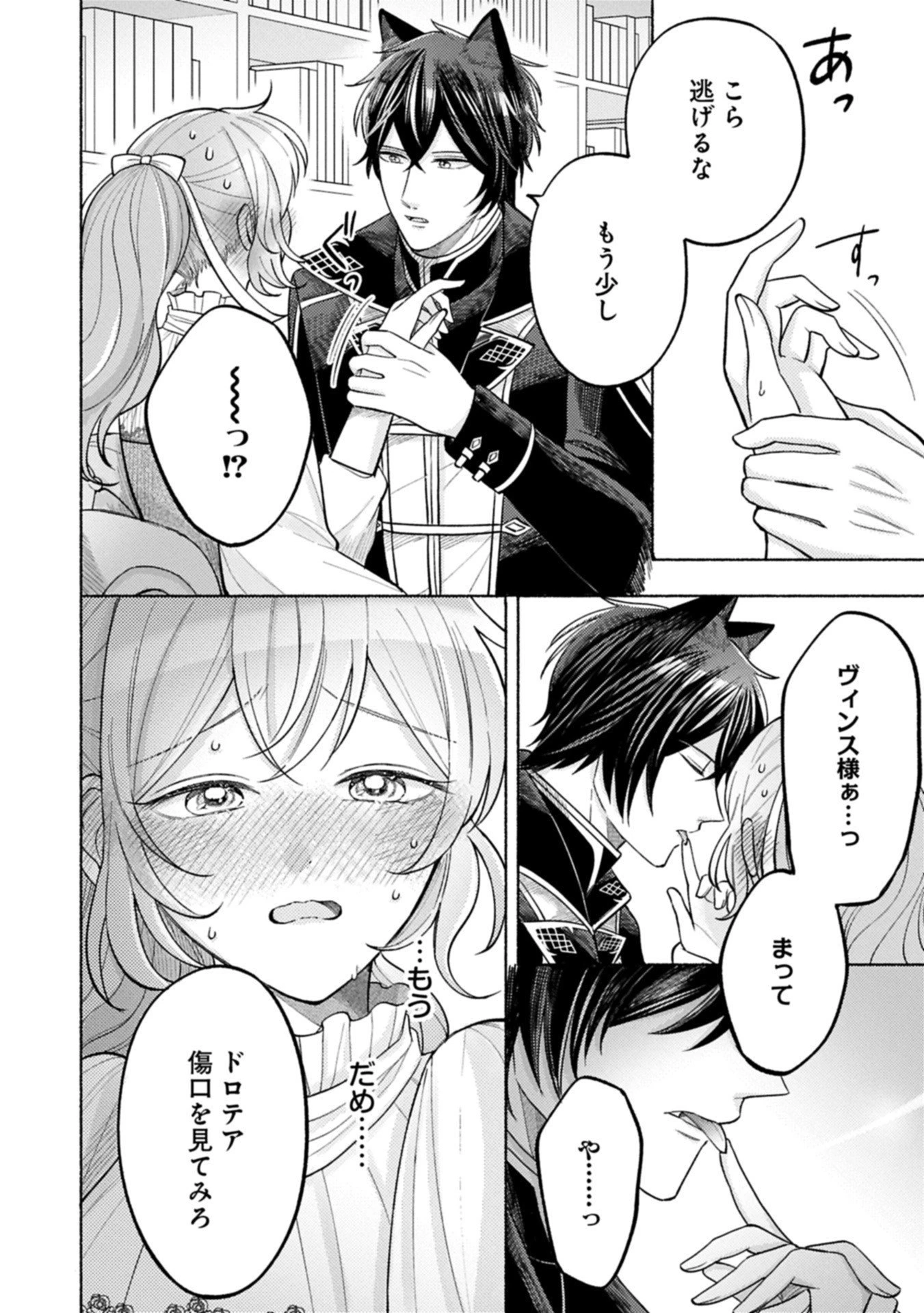 聖女の妹の尻拭いを仰せつかった、ただの侍女でございます～謝罪先の獣人国で何故か黒狼陛下に求愛されました！？～ 第15.2話 - 2