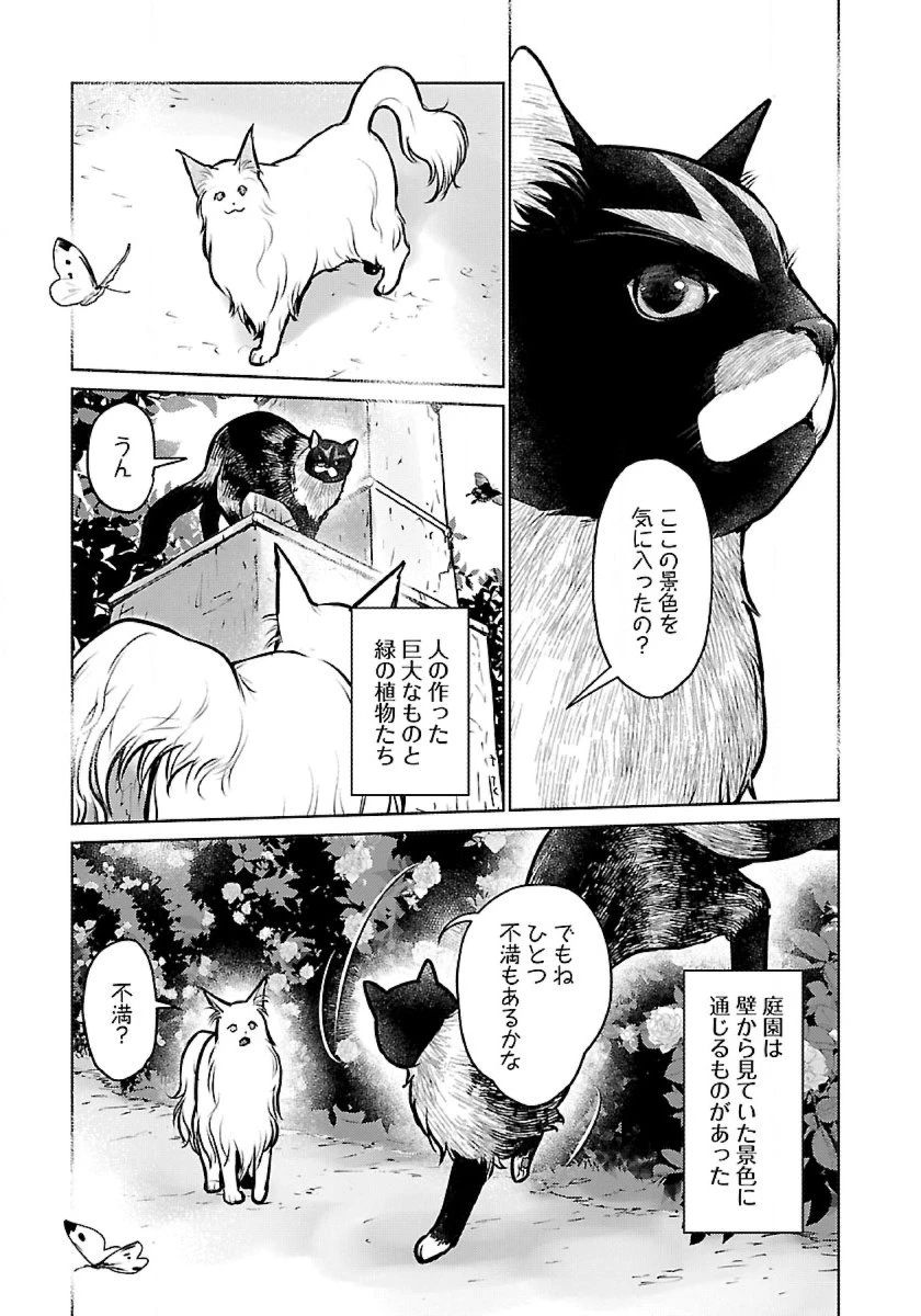 猫と竜 第48話 - 15