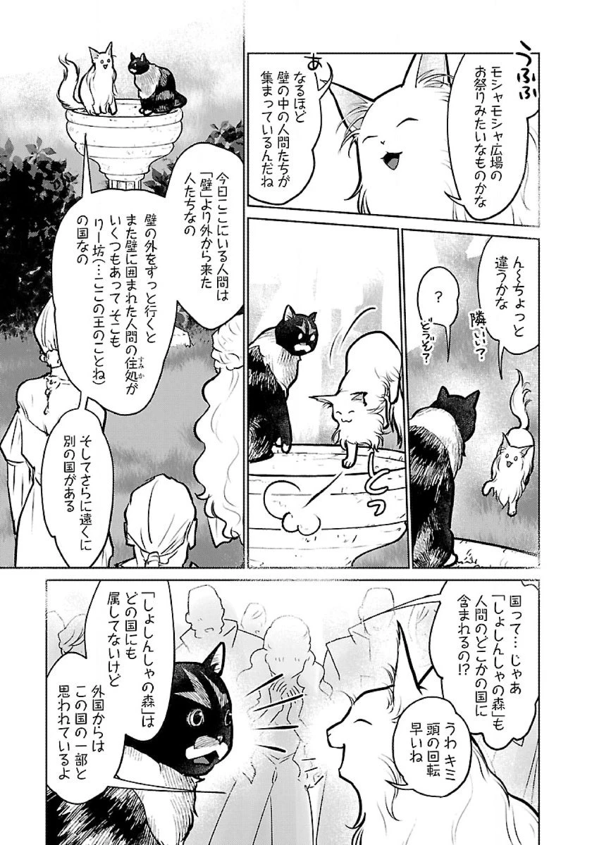 猫と竜 第48話 - 19