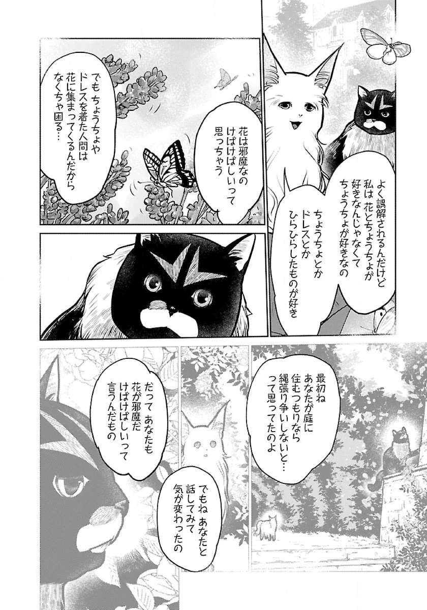 猫と竜 第48話 - 30
