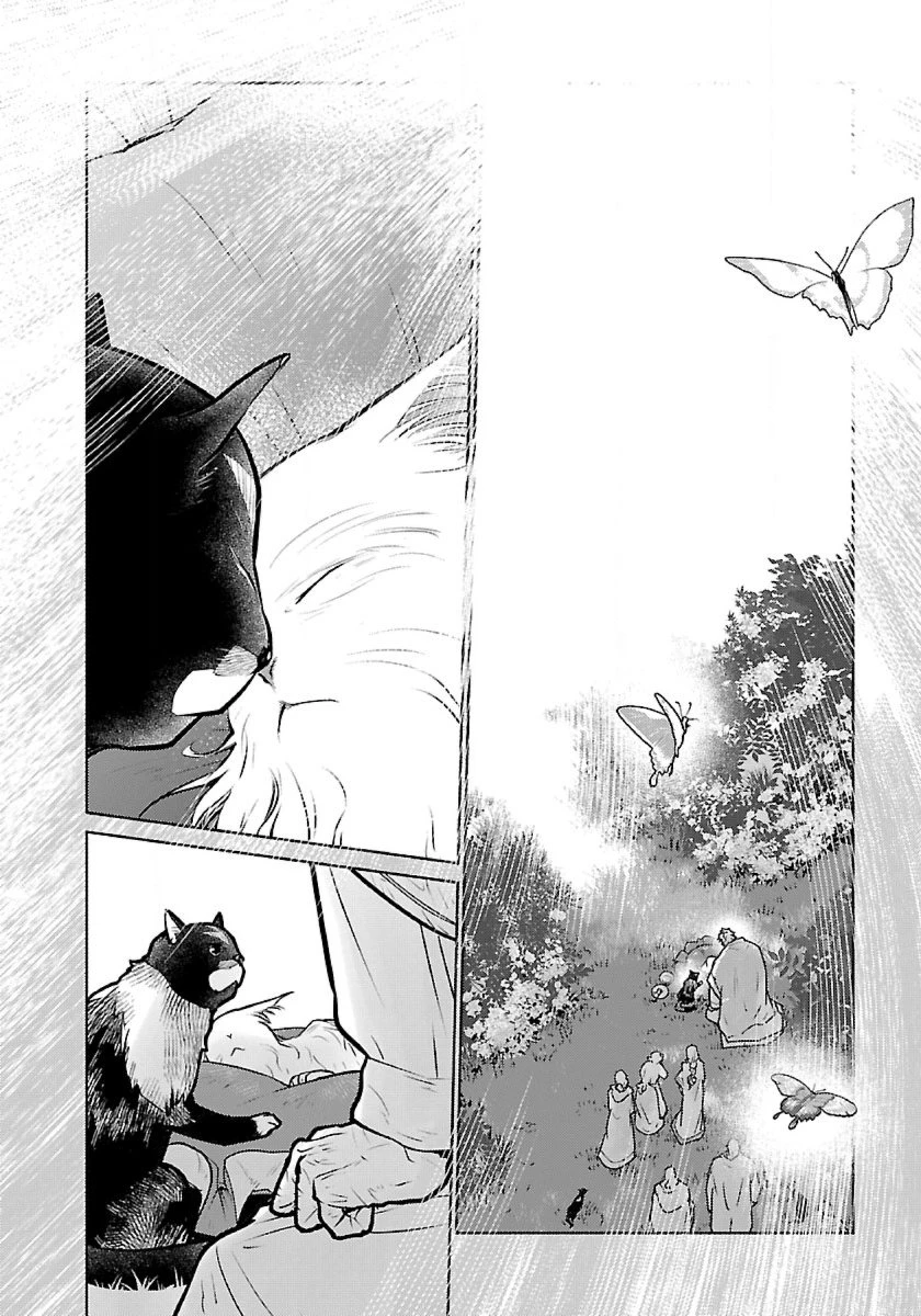 猫と竜 第48話 - 32