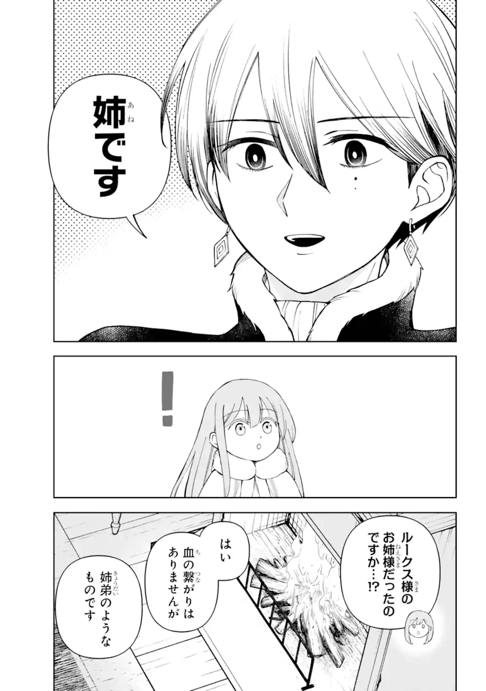 ひねくれ騎士とふわふわ姫様 古城暮らしと小さなおうち 第15.2話 - 10
