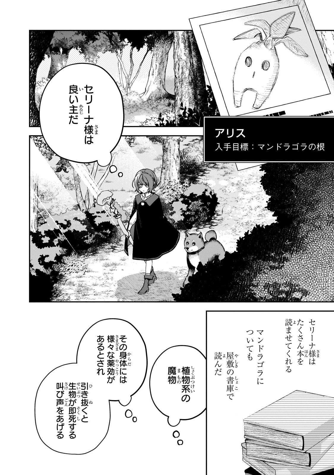 悪の令嬢と十二の瞳 ～最強従者たちと伝説の悪女、人生二度目の華麗なる無双録～ 第5話 - 18