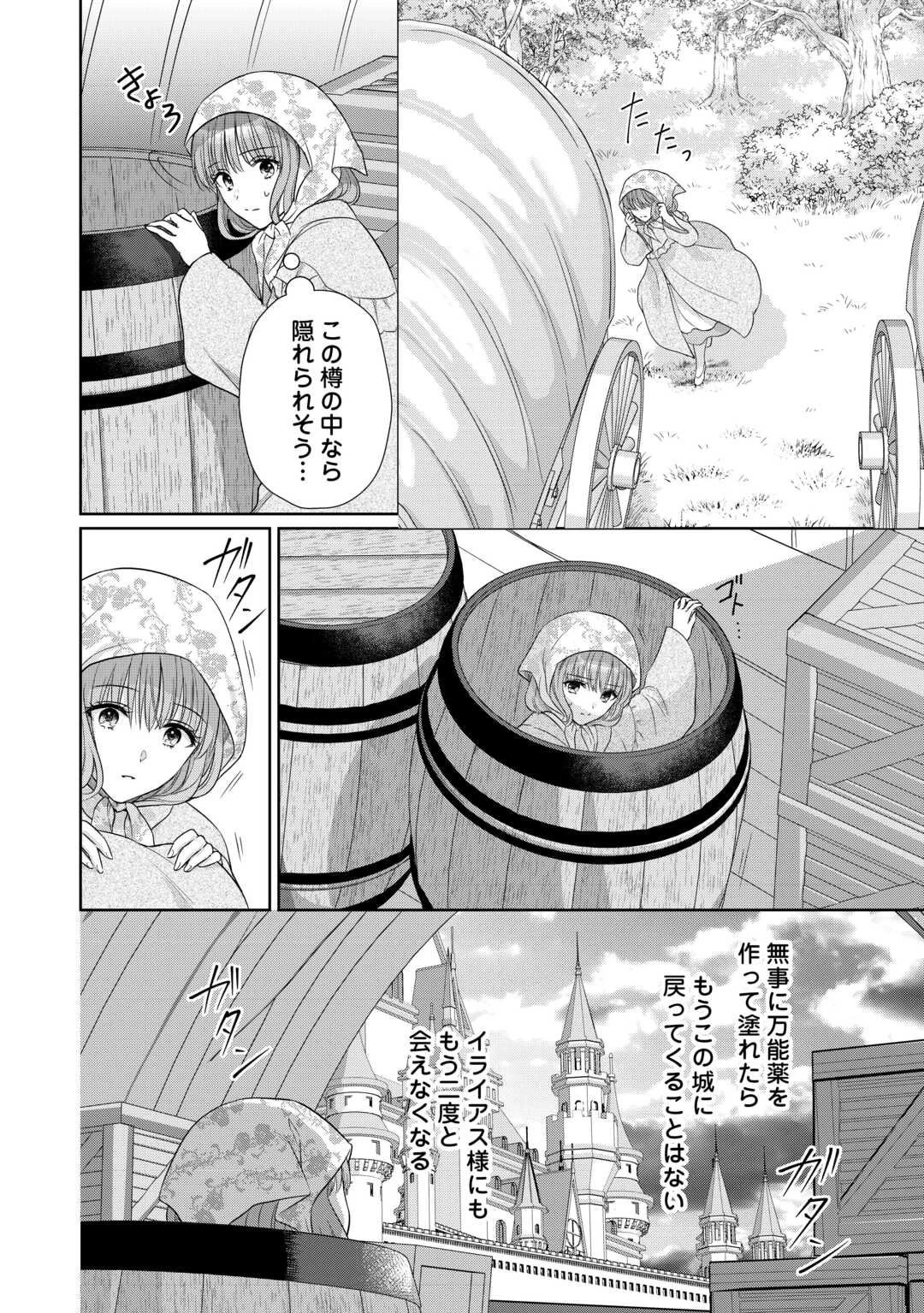 元仔狼の冷徹国王陛下に溺愛されて困っています! 第10話 - 22