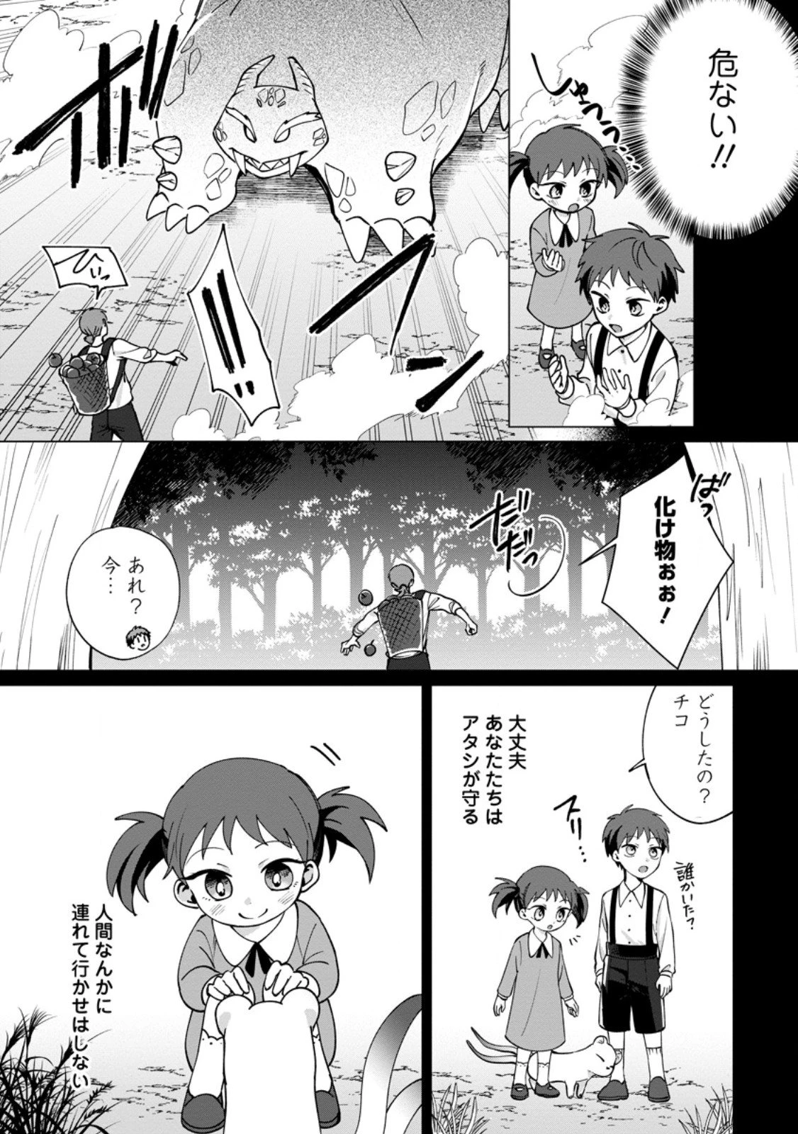 捨てられ聖女のもふもふ保護活動〜天才魔法使いと幻獣たちに愛されて幸せになります〜 第5.2話 - 9