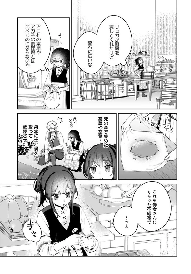 薬売りの聖女 ～冤罪で追放された薬師は、辺境の地で幸せを掴む～ 第12話 - 3