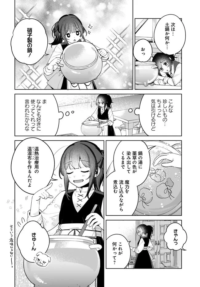 薬売りの聖女 ～冤罪で追放された薬師は、辺境の地で幸せを掴む～ 第12.1話 - 4