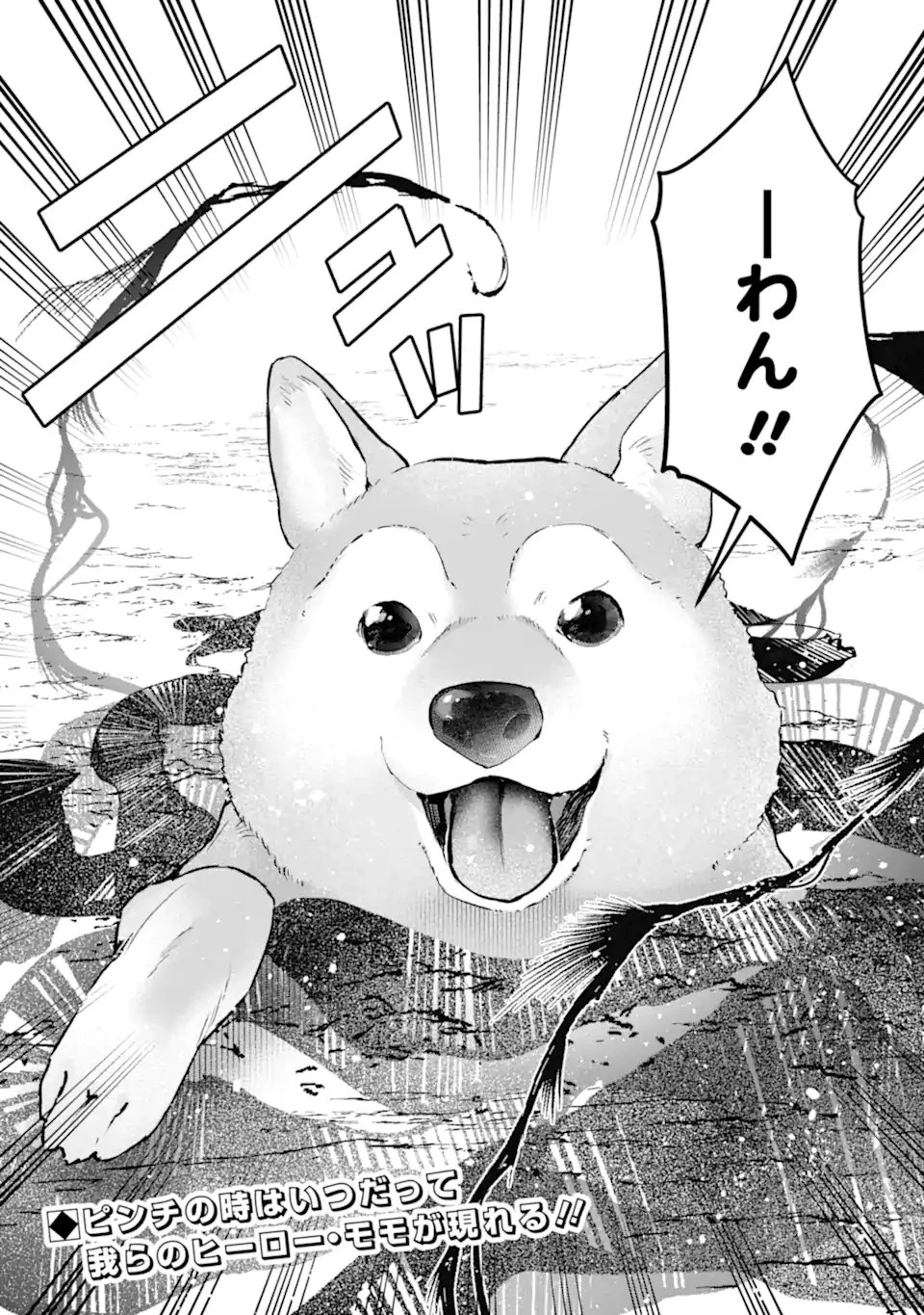 モンスターがあふれる世界になったので、好きに生きたいと思います 第58.4話 - 11