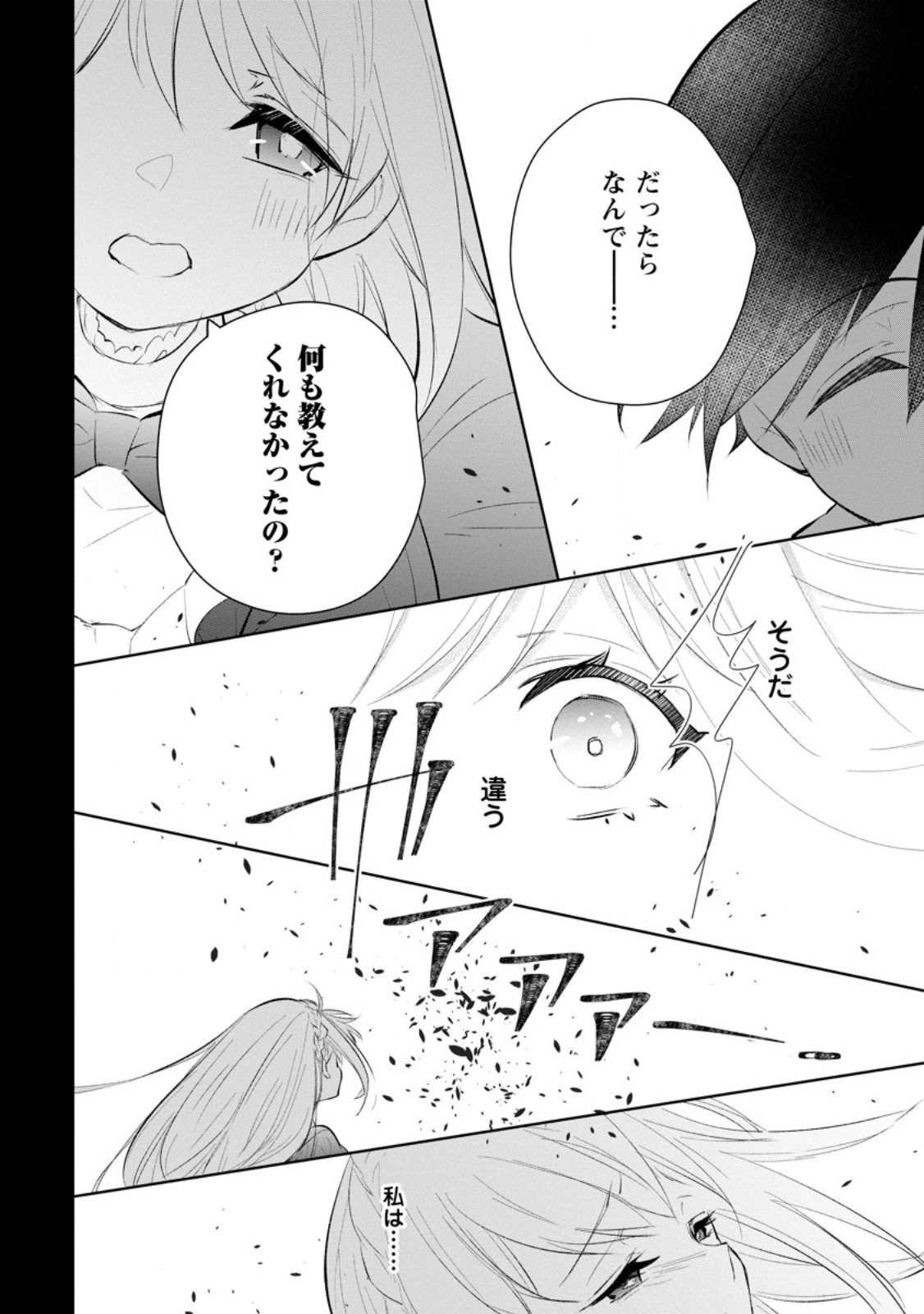 恋心に苦しむ王妃は、異国の薬師王太子に求愛される 第9.1話 - 8