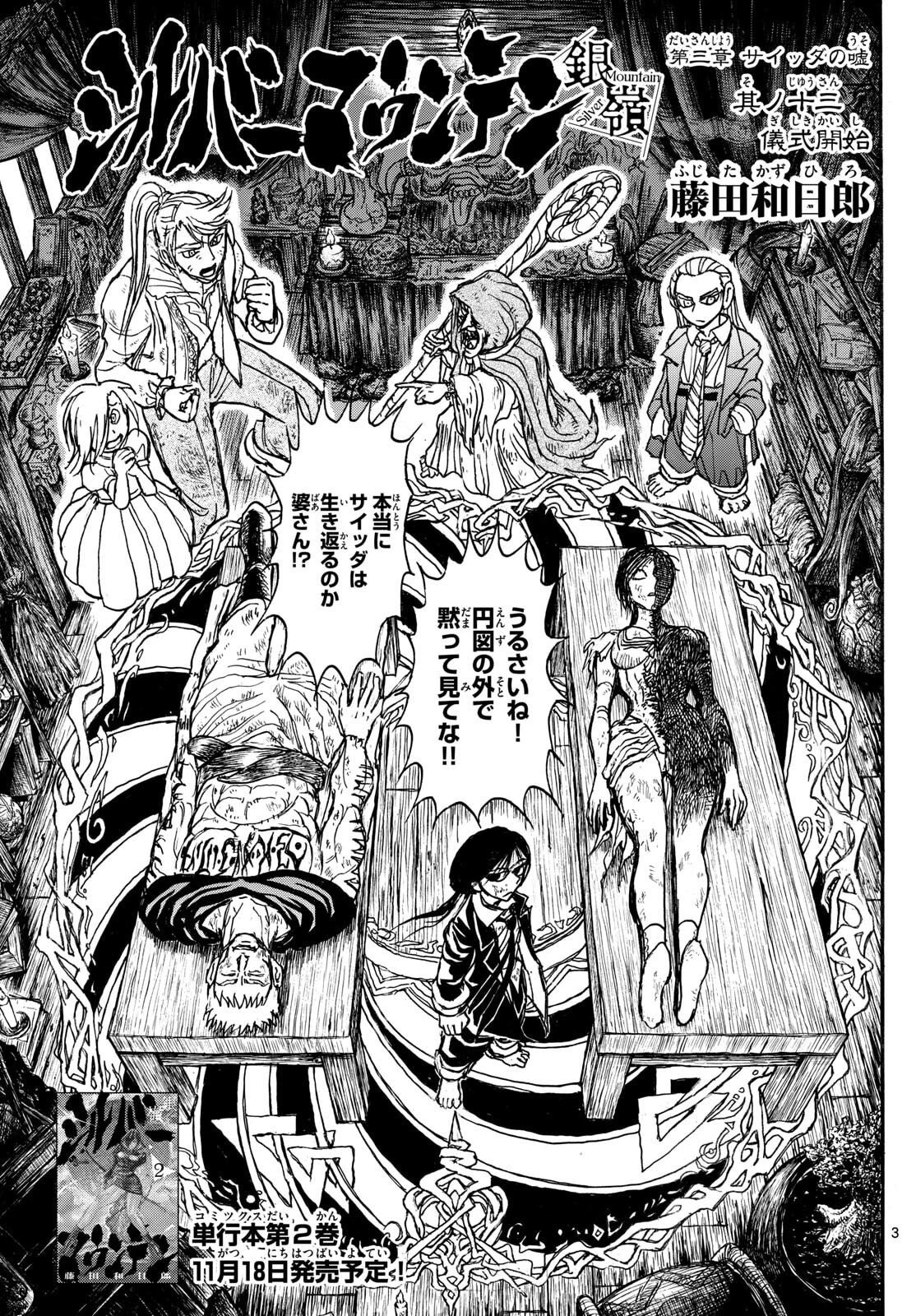 シルバーマウンテン 第25話 - 3