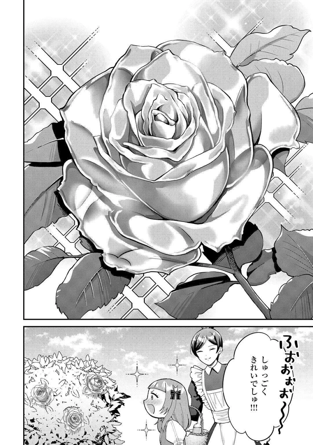 私の家族はハイスペックです! 落ちこぼれ転生末姫ですが溺愛されつつ世界救っちゃいます! 第2話 - 12