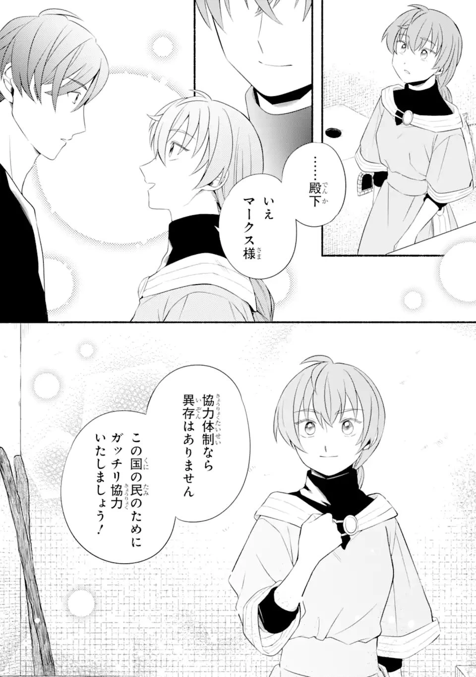 砂漠の国の雨降らし姫～前世で処刑された魔法使いは農家の娘になりました～ 第20.3話 - 6