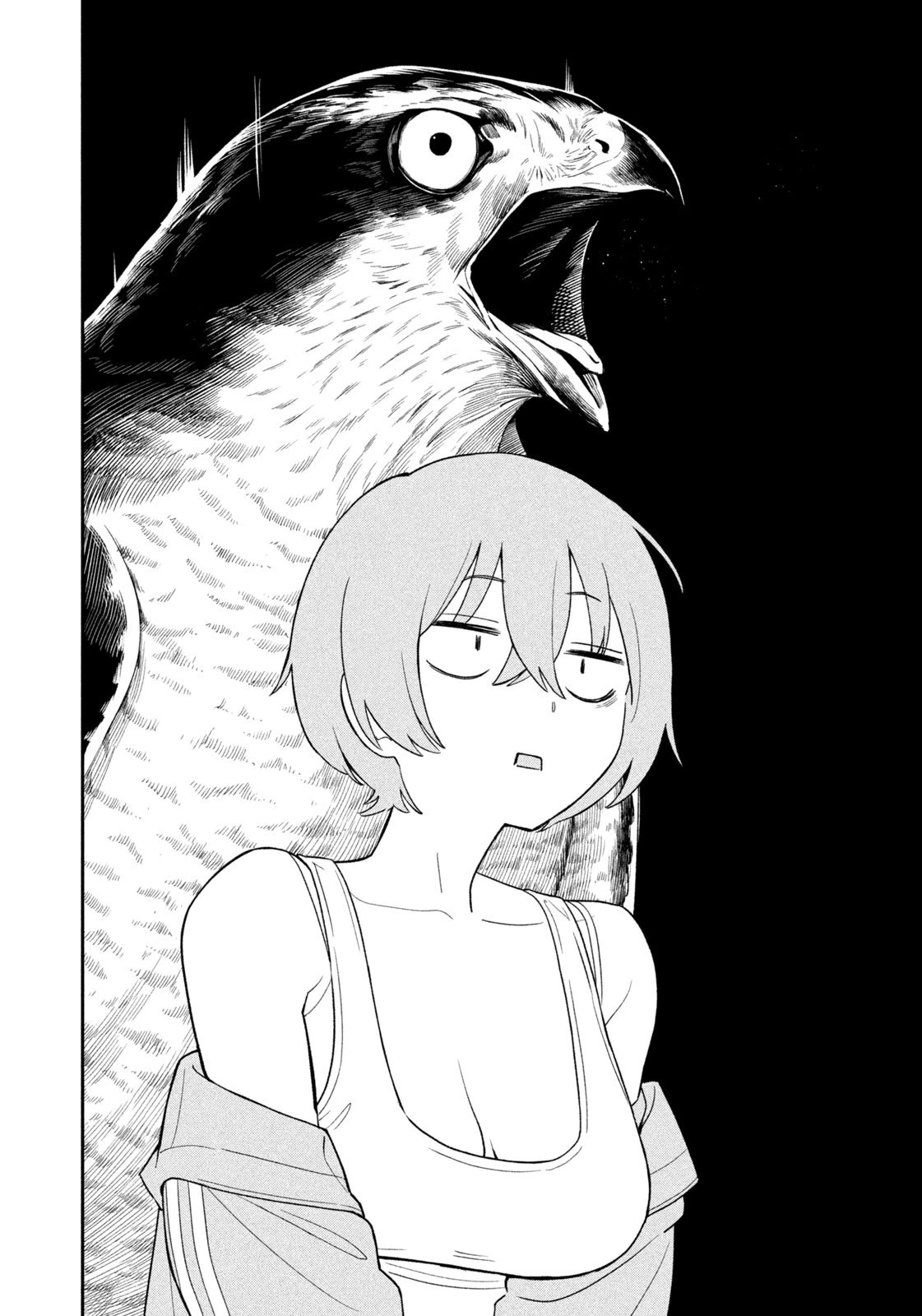 夜鷹ふたたび 第1話 - 30