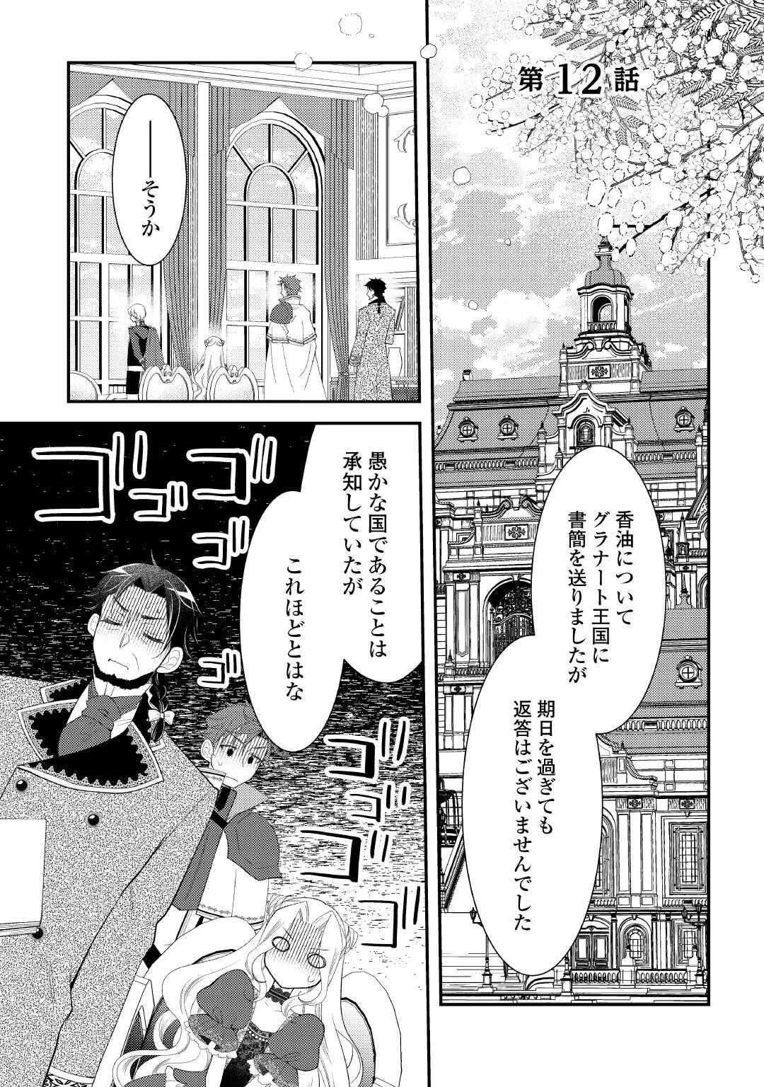 死んだ王妃は二度目の人生を楽しみます ーお飾りの王妃は必要ないのでしょう?ー 第12話 - 1