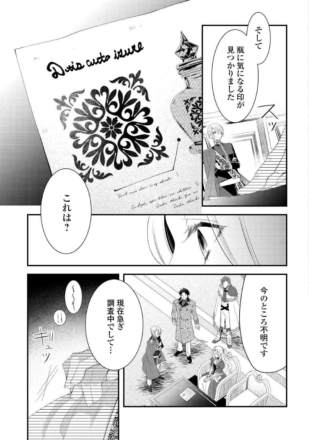 死んだ王妃は二度目の人生を楽しみます ーお飾りの王妃は必要ないのでしょう?ー 第12話 - 3