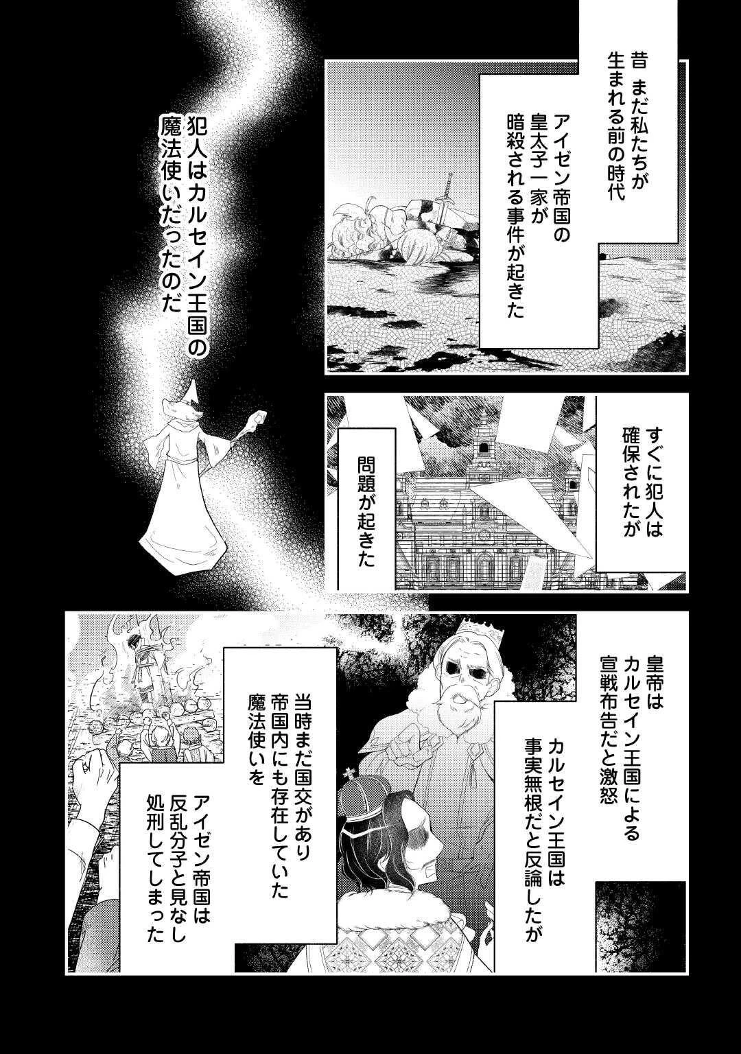 死んだ王妃は二度目の人生を楽しみます ーお飾りの王妃は必要ないのでしょう?ー 第12話 - 10