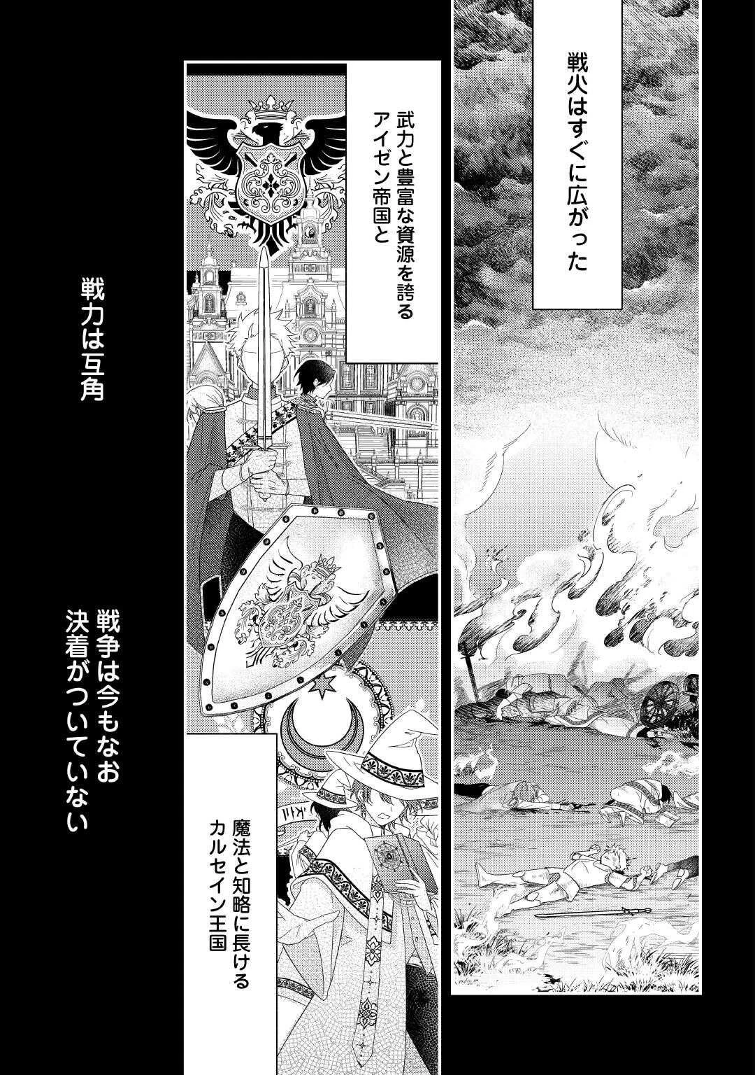 死んだ王妃は二度目の人生を楽しみます ーお飾りの王妃は必要ないのでしょう?ー 第12話 - 11