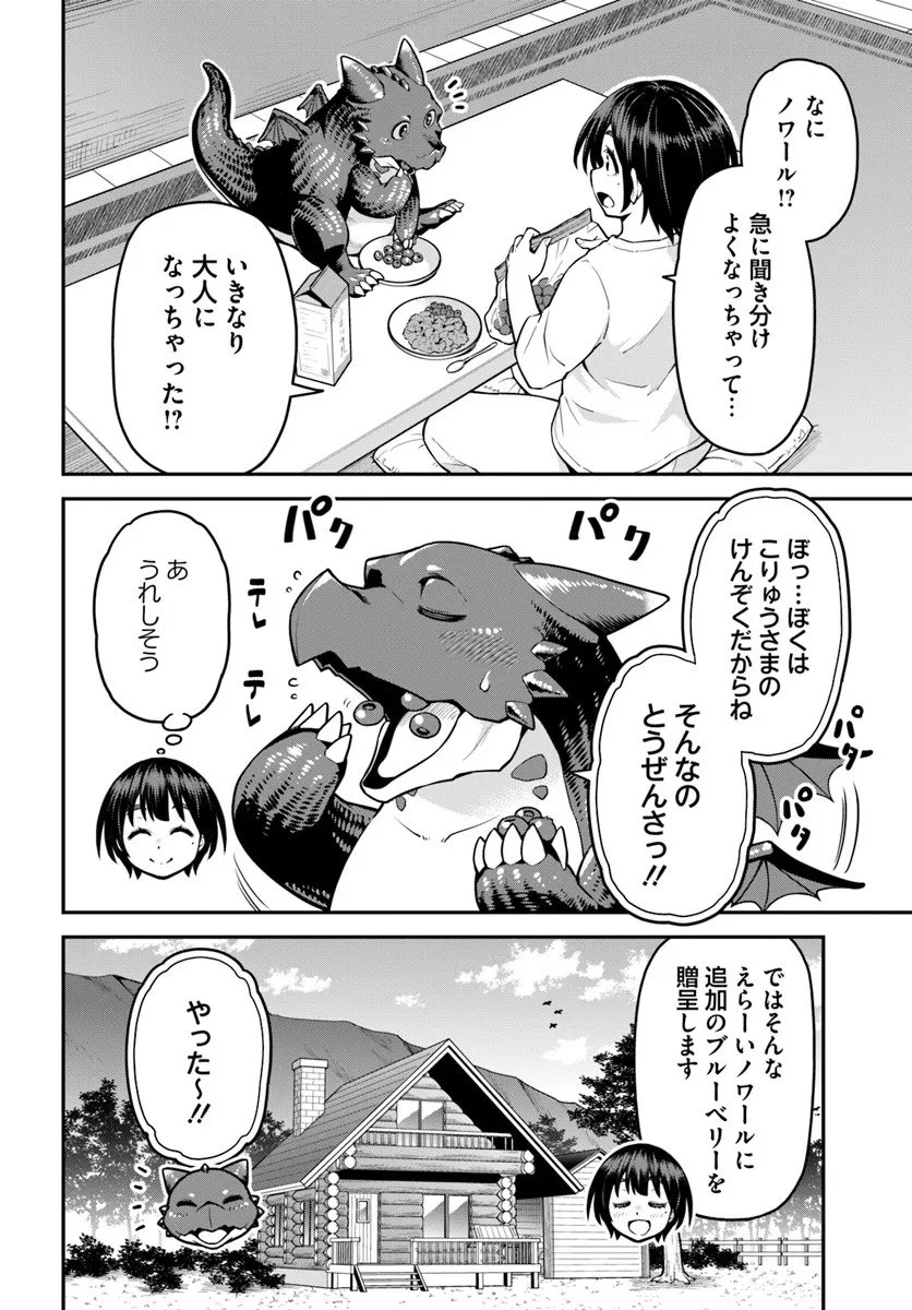 山、買いました 〜異世界暮らしも悪くない〜 第17話 - 2