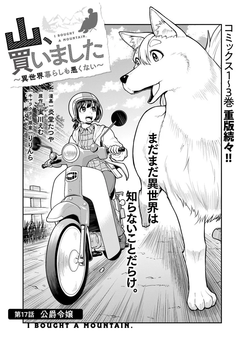 山、買いました 〜異世界暮らしも悪くない〜 第17話 - 3