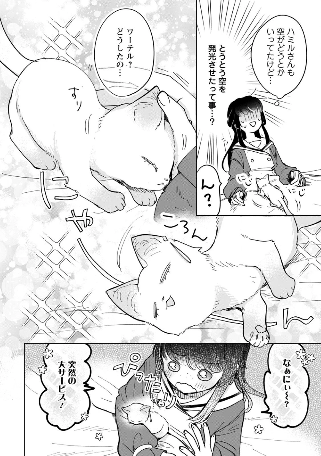 聖女じゃないと追放されたので、もふもふ従者(聖獣)とおにぎりを握る 第47.1話 - 10