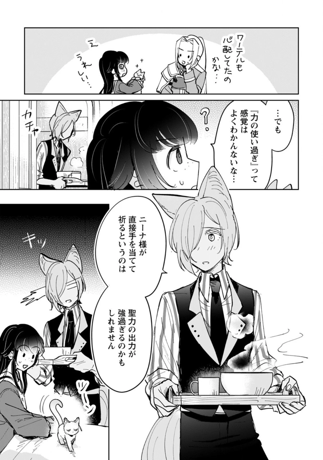 聖女じゃないと追放されたので、もふもふ従者(聖獣)とおにぎりを握る 第47.1話 - 11