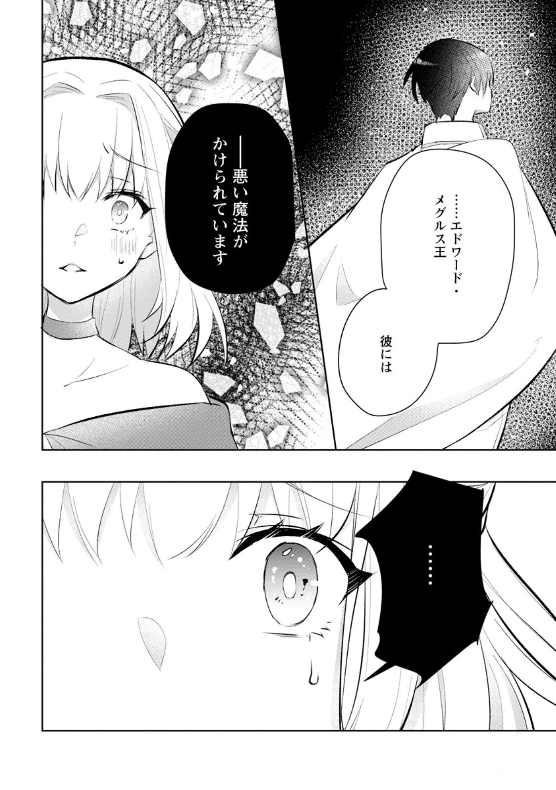 恋心に苦しむ王妃は、異国の薬師王太子に求愛される 第9.2話 - 6