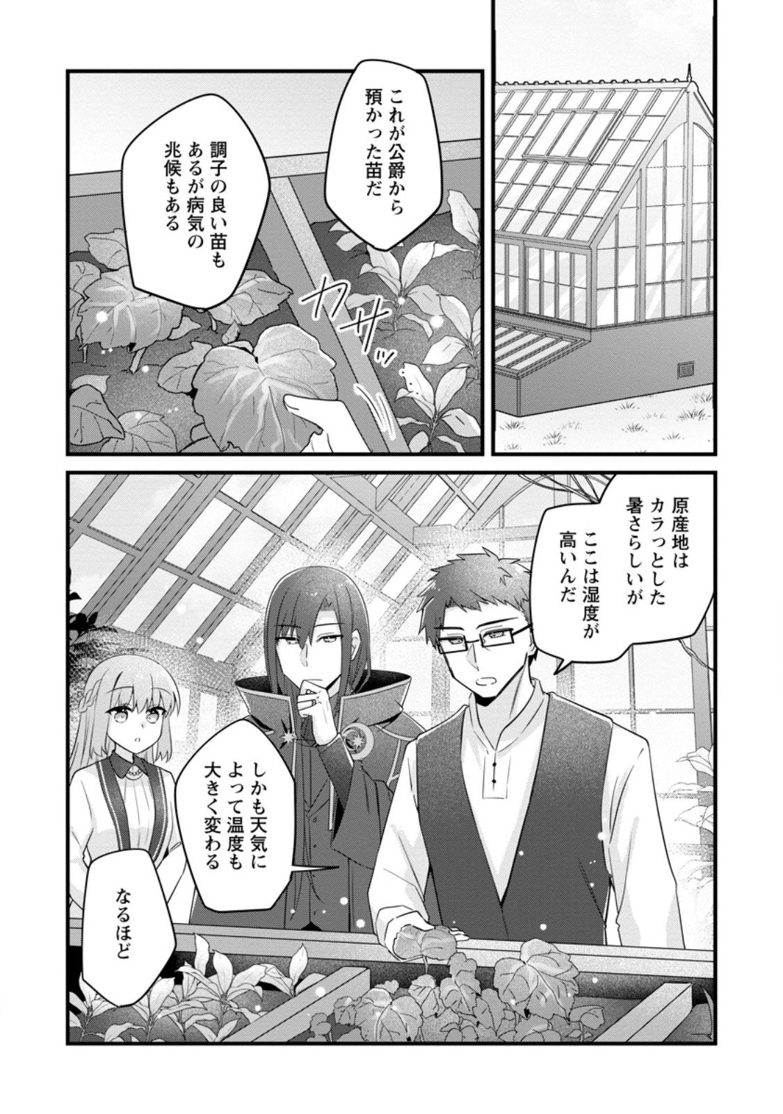 地味姫と黒猫の、円満な婚約破棄 第49.2話 - 10