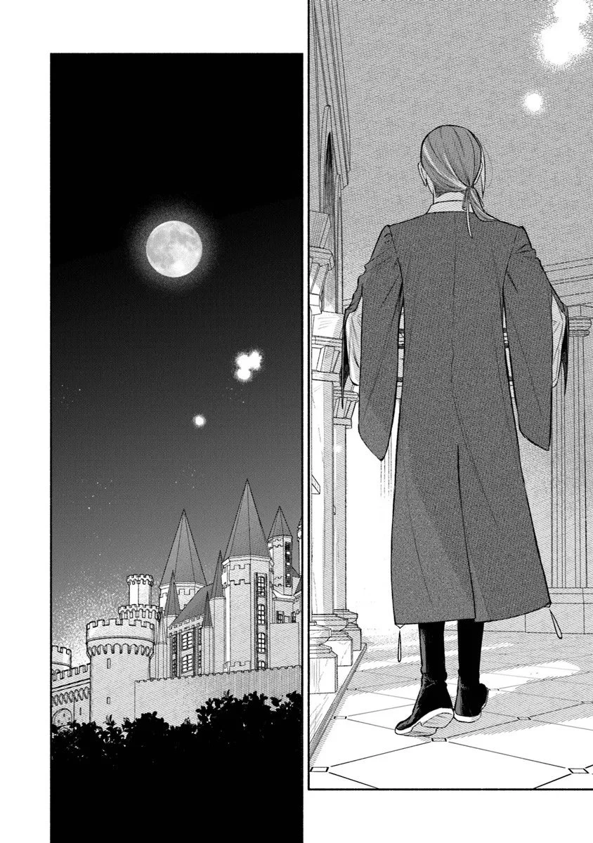 前世冷徹王子の馬でした ～人になっても貴方を愛していいですか？～ 第15話 - 2