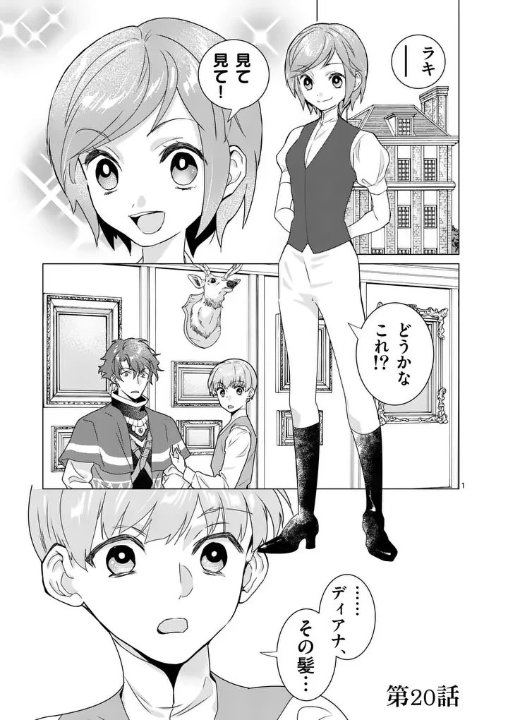 愛するつもりなぞないんでしょうから 第20話 - 1